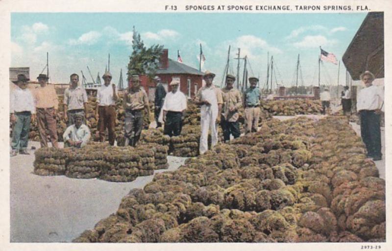 Florida Tarpon Springs Sponges At Sponge Exchange 1935 Curteich