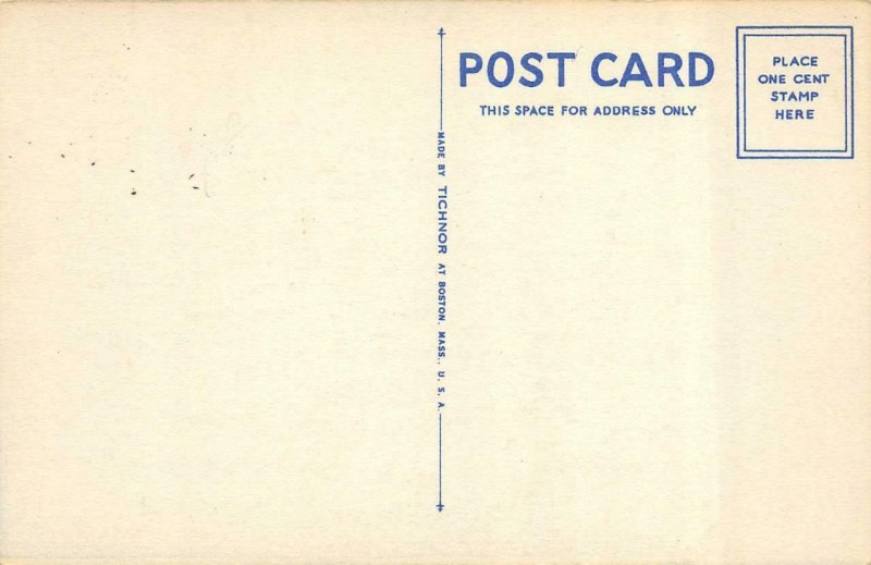 3 Comics THREE FISH EXAGERATIONS Man With Cigar~Fish In Mouth c1940's Postcards