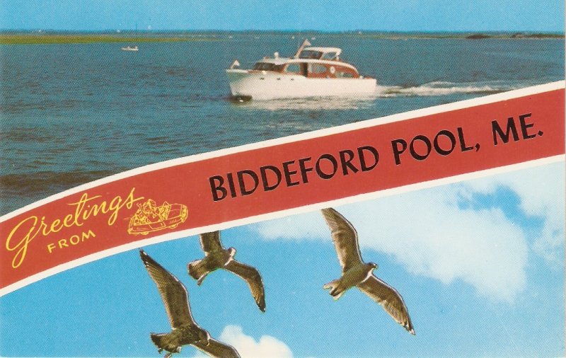 Greetings from Biddeford mPool ME. Seaguls Vintage American PC