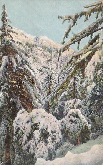 California Mount Lowe In Winter