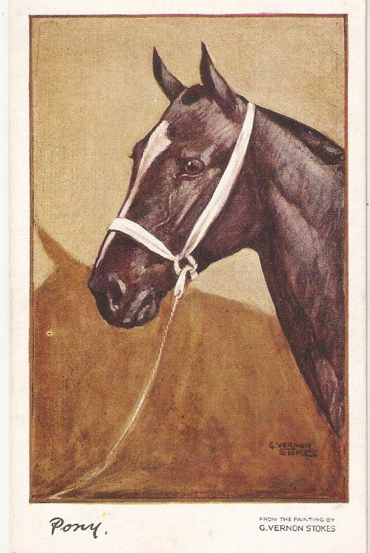 G. VERNON STOKES.  Pony Horse Fine painting, old vintage English postcard