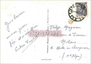 Modern Postcard Dogs Saint Bernard