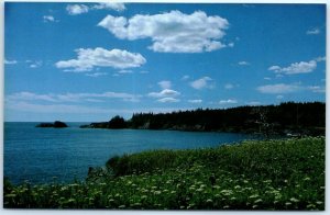 Postcard - Liberty Point, Roosevelt Campobello International Park - Canada