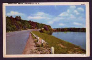 NY Greetings from COBLESKILL NEW YORK Linen PC Postcard