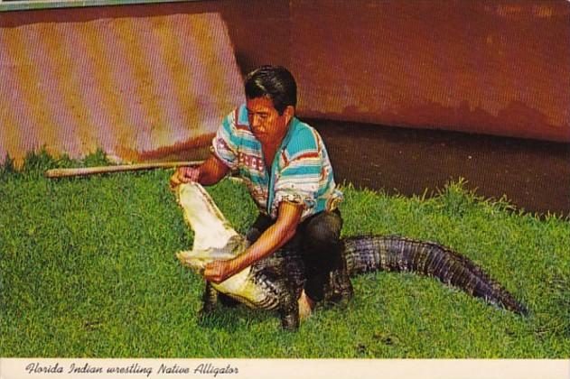 Florida Seminole Indian Wrestling Native Alligator