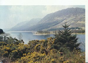 Scotland Postcard - Loch Lochy - Inverness-shire - Ref TZ8699