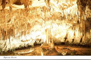 New Mexico Carlsbad Caverns National Park Papoose Room