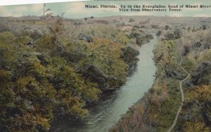 EVERGLADES FROM OBSERVATORY TOWER MIAMI FLORIDA POSTCARD (c. 1910)