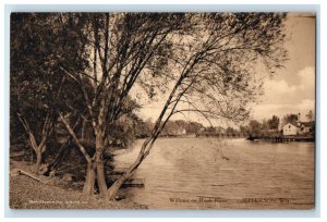 c1910's Willows On Rock River Jefferson Wisconsin WI Unposted Antique Postcard