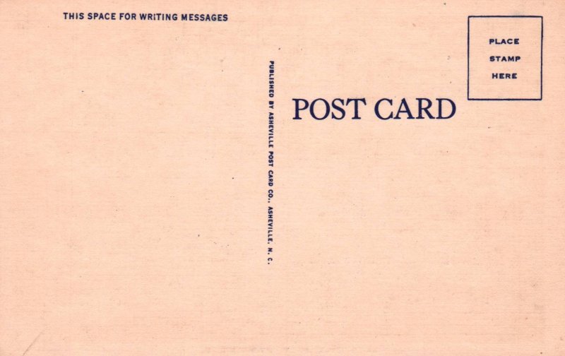 Greetings From Manning,SC Horseback Riders