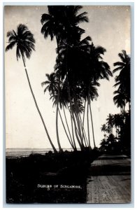 Singapore Postcard Road Beach Suburb View c1920's Unposted RPPC Photo