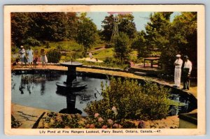Lily Pond, Fire Rangers Lookout, Parry Sound Ontario, Vintage PECO Postcard