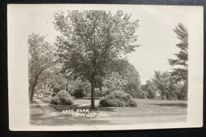 Mint USA Real Picture Postcard East Park Sheffield IL