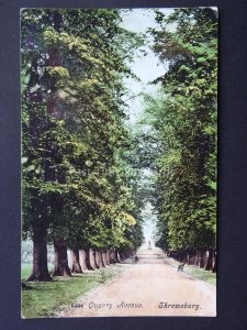 Shropshire SHREWSBURY Quarry Avenue c1904 Postcard