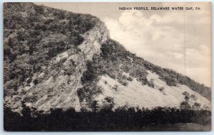 Postcard - Indian Profile, Delaware Water Gap, Pennsylvania, USA
