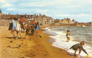 Chidren and horses in the sands Nice English PC 1970s. Standard size