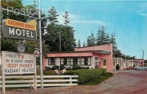 Canada, Ontario, Cobourg, Orchard Grove Motel, Canadian Post Card Co. No. 71379B