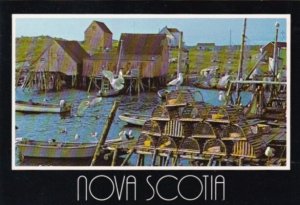 Lobster Traps At Nova Scotian Fishing Village Canada