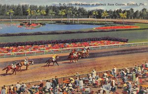 Mid-Season Hialeah Race Course Hialeah, Florida USA View Images 