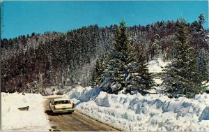 US 441 Smokies Geat Smoky Mountain National Park Color King Postcard Vintage Vrg 