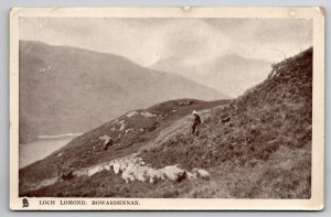 Scotland Loch Lomond Rowardennan Tuck Glosso Postcard F24