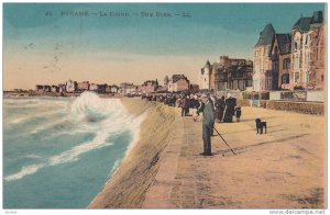 PARAME, La Digue, The Dike, Black dog, Ille et Vialine, France, PU-1923