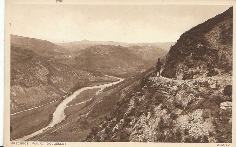 Wales Postcard - Precipice Walk - Dolgelley   1960