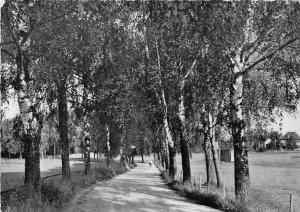 BG1225 bad worishofen kneippheillbad  CPSM 14x9.5cm germany