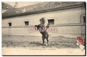 Old Postcard Saumur Horse Equestrian Courbette