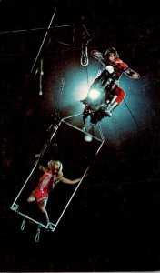 Circus Ringling Brothers Barnum & Bailey Highwire Motorcycle Daredeviltry