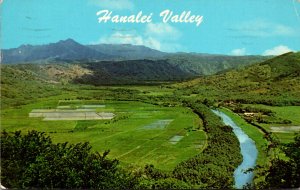 Hawaii Kauai Hanalei Valley 1972