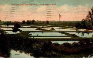 Michigan Grand Rapids Michigan State Fish Hatchery 1916