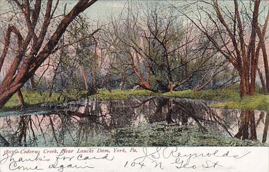 Codorus Creek Laucks Dam York Pennsylvania 1907