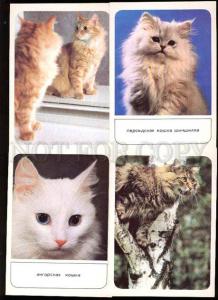 002151 PUSSY CAT Collection of 18 colorful russian postcards