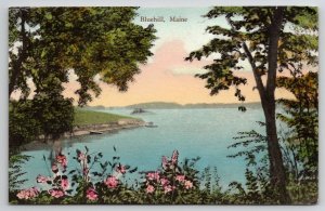 Bluehill Maine Hand Colored 1934 To Norfolk Mass Postcard P22