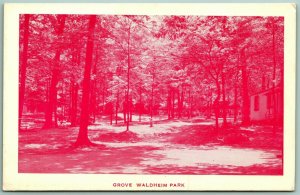 Grove Waldheim Park Allentown Pennsylvania PA UNP Chrome Postcard G10