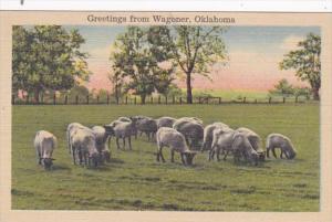 Oklahoma Greetings From Wagoner