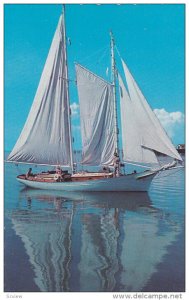 BECALMEDI, Sailing Vessel, 40-60s