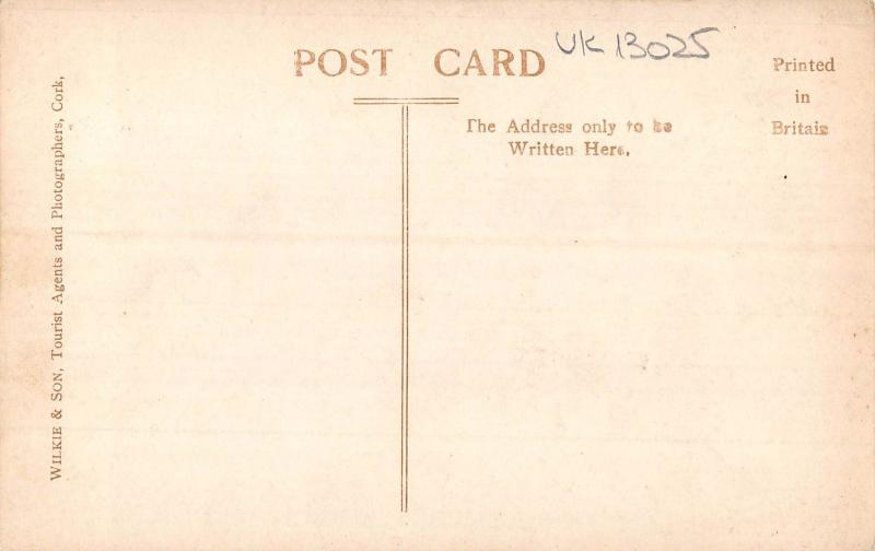 uk13025 blarney castle cork ireland