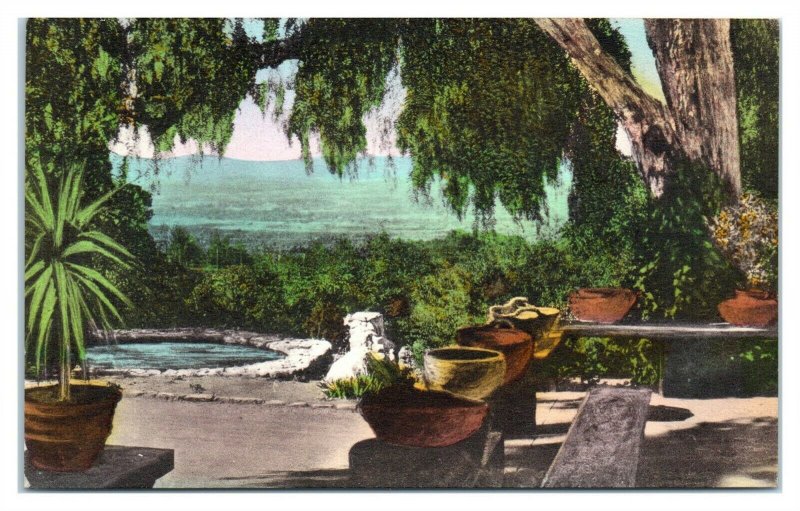 View from Thatcher School, Ojai, CA Hand-Colored Postcard *6V(2)3