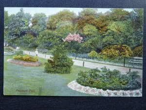 London PECKHAM Peckham Park & Flower Beds / Boarders c1905 Postcard by H. Finch