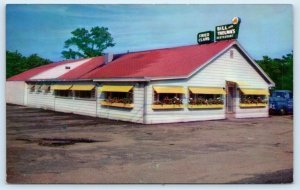 WEST YARMOUTH, MA Massachusetts~ BILL & THELMA'S Restaurant  Roadside Postcard