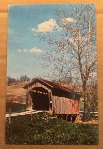 VINT USED POSTCARD MANCHESTER BRIDGE #33, BY AN OLD SYCAMORE, NOBLE COUNTY, OHIO