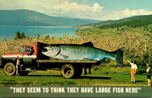 Canada British Columbia Sportsman's Paradise Large Fish On Truck They Se...