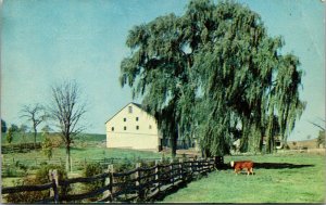 Vtg 1960s Typical Farm Scene Franklin County Pennsylvania PA Chrome Postcard