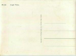 Lenticular stereo 3D Angel Fishes postcard