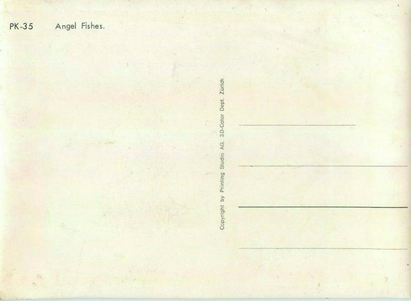 Lenticular stereo 3D Angel Fishes postcard