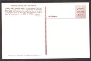 Jeffrey Pine,Sentinel Dome,Yosemite National Park,CA