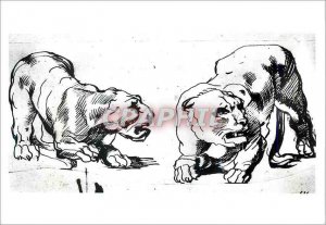 Modern Postcard Sir Peter Paul Rubens Two lionesses crouching Pen and Ink Vic...