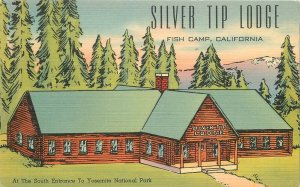 Postcard California Fish Camp Silver Tip Lodge Yosemite NP 1930s Tichnor 23-4533